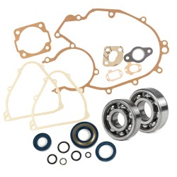 Kit Cuscinetti Albero + Paraoli O-Ring Guarnizioni Motore per Ape 50 Cono 19/20