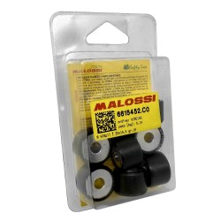 MF4927 Rulli Malossi 16gr per Variatore Originale e Multivar Beverly 350 25X15,9