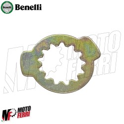 MF7556 Dado + Rondella Sicureza Pignone Originale Benelli 502C Cruiser 2019/2024