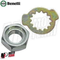 MF7556 Dado + Rondella Sicureza Pignone Originale Benelli 502C Cruiser 2019/2024